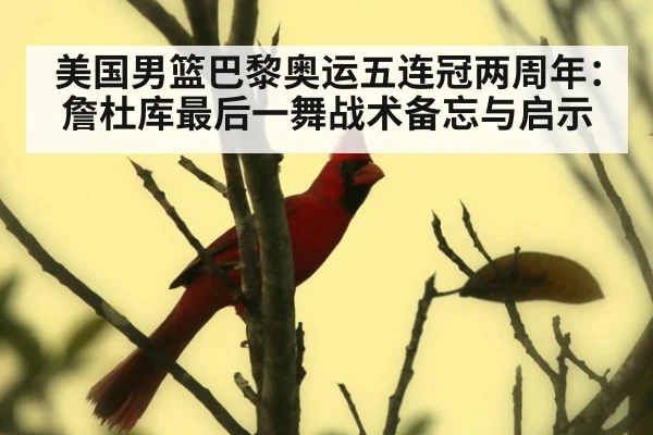 美国男篮巴黎奥运五连冠两周年：詹杜库最后一舞战术备忘与启示