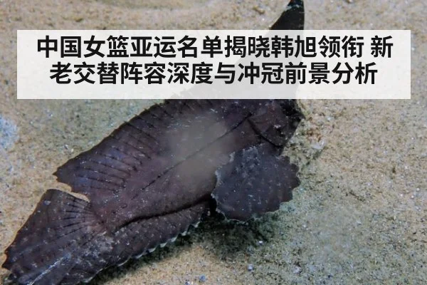 中国女篮亚运名单揭晓韩旭领衔 新老交替阵容深度与冲冠前景分析